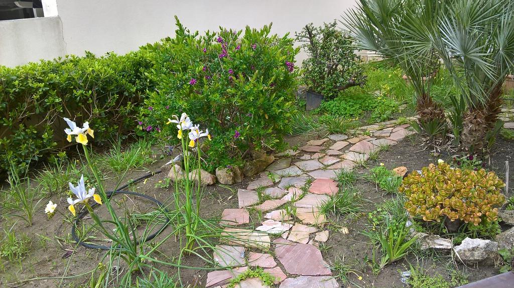 Appartamento Tulipano Alghero Exteriér fotografie