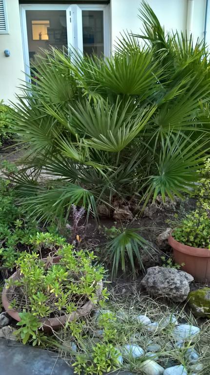 Appartamento Tulipano Alghero Exteriér fotografie
